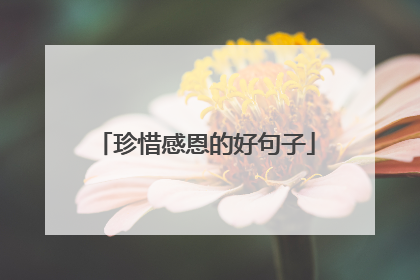 珍惜感恩的好句子