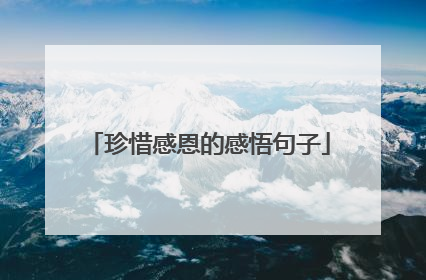 珍惜感恩的感悟句子