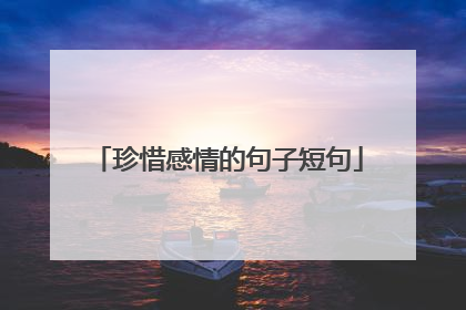 珍惜感情的句子短句