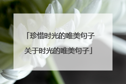 珍惜时光的唯美句子 关于时光的唯美句子