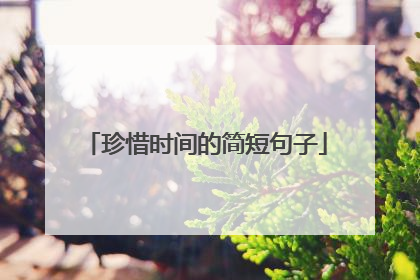 珍惜时间的简短句子