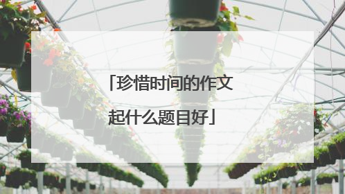 珍惜时间的作文起什么题目好