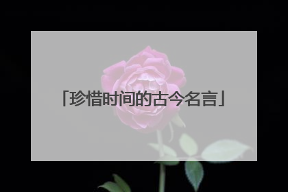 珍惜时间的古今名言