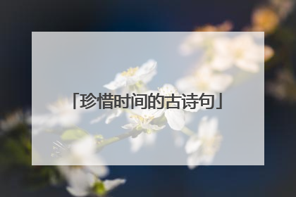 珍惜时间的古诗句