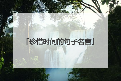 珍惜时间的句子名言