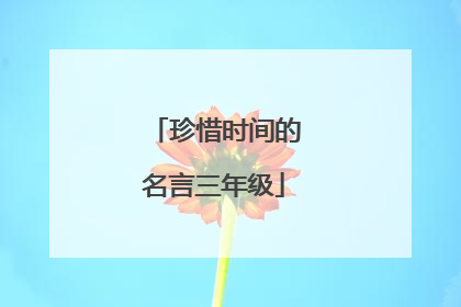 珍惜时间的名言三年级