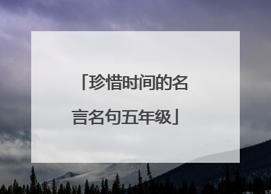 珍惜时间的名言名句五年级