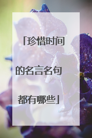 珍惜时间的名言名句都有哪些