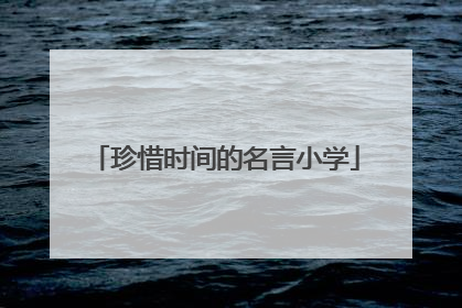 珍惜时间的名言小学