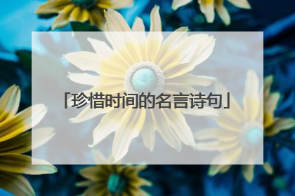 珍惜时间的名言诗句