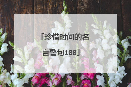 珍惜时间的名言警句100