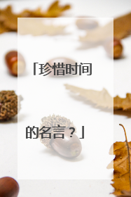 珍惜时间的名言?