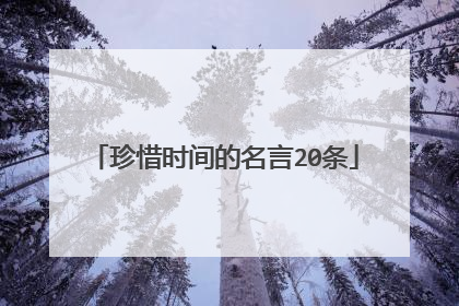 珍惜时间的名言20条