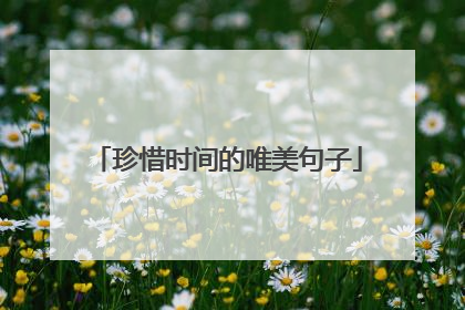 珍惜时间的唯美句子