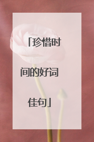 珍惜时间的好词佳句