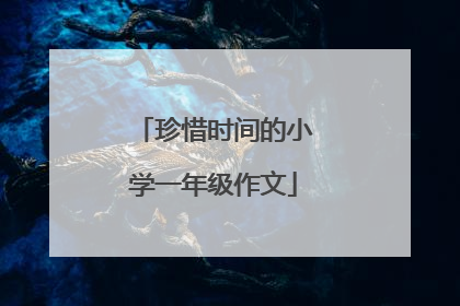 珍惜时间的小学一年级作文