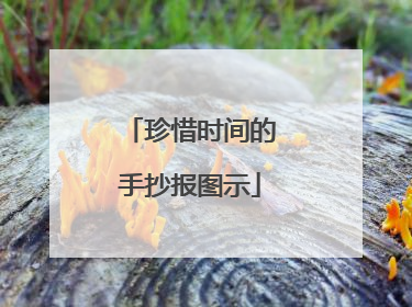 珍惜时间的手抄报图示