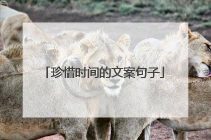 珍惜时间的文案句子