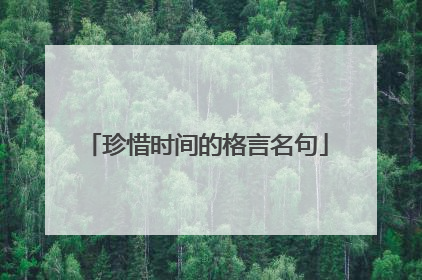 珍惜时间的格言名句
