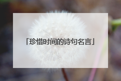 珍惜时间的诗句名言
