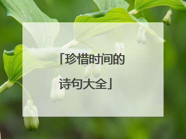 珍惜时间的诗句大全