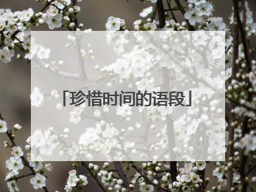 珍惜时间的语段