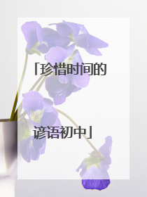 珍惜时间的谚语初中