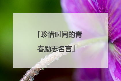 珍惜时间的青春励志名言