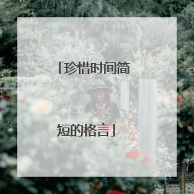 珍惜时间简短的格言