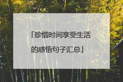 珍惜时间享受生活的感悟句子汇总