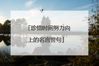珍惜时间努力向上的名言警句