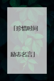 珍惜时间励志名言