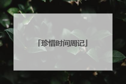 珍惜时间周记