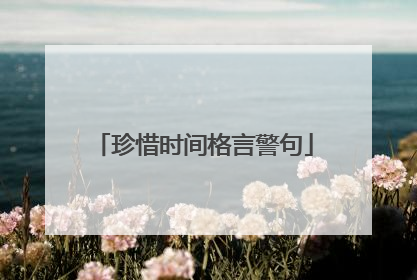 珍惜时间格言警句