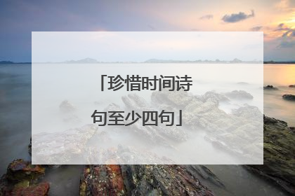珍惜时间诗句至少四句