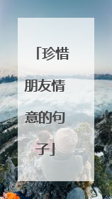珍惜朋友情意的句子