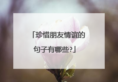 珍惜朋友情谊的句子有哪些?