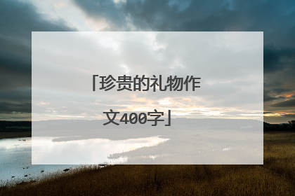 珍贵的礼物作文400字