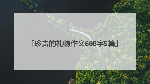 珍贵的礼物作文600字5篇