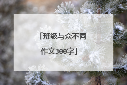 班级与众不同作文300字