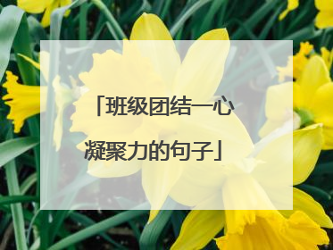 班级团结一心凝聚力的句子