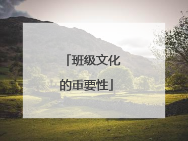 班级文化的重要性