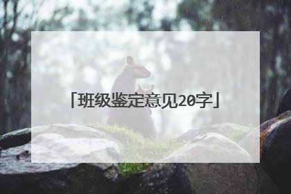 班级鉴定意见20字