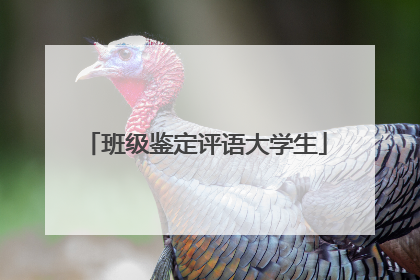 班级鉴定评语大学生