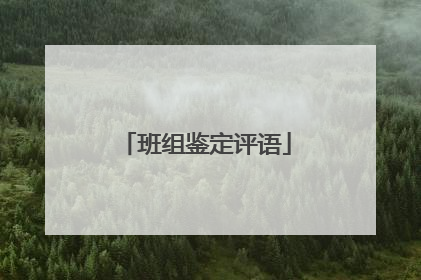 班组鉴定评语
