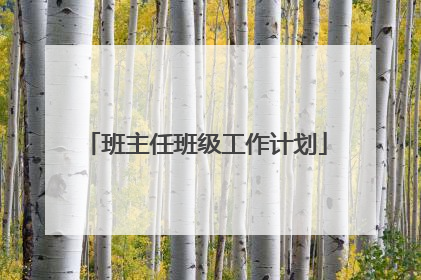 班主任班级工作计划
