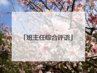 班主任综合评语