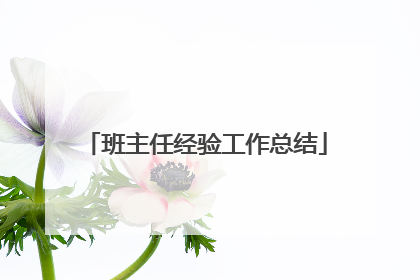 班主任经验工作总结