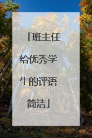 班主任给优秀学生的评语简洁