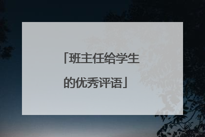 班主任给学生的优秀评语